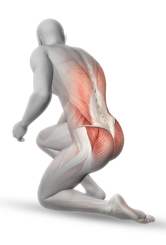 3d male medical figure with partial muscle map in kneeling position